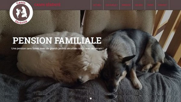 Capture d'écran du site web de Canin Sérénité, conçu avec un design professionnel et une navigation intuitive.